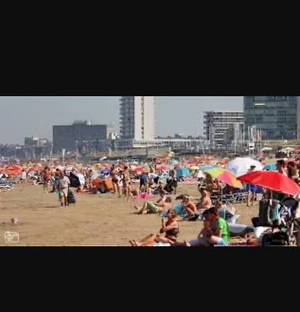 Blissiebeachhouse Zandvoort